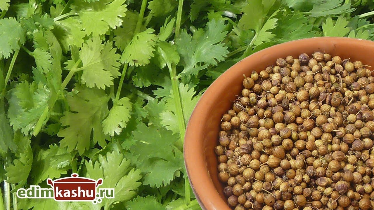 Разумная кулинария