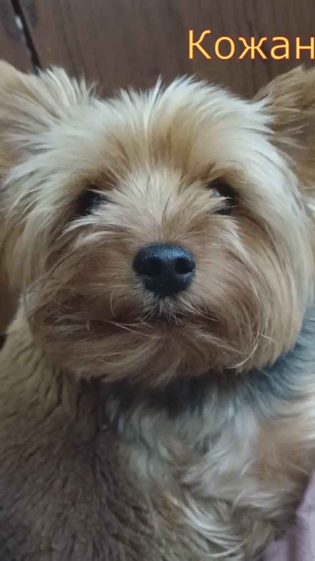 Понедельник