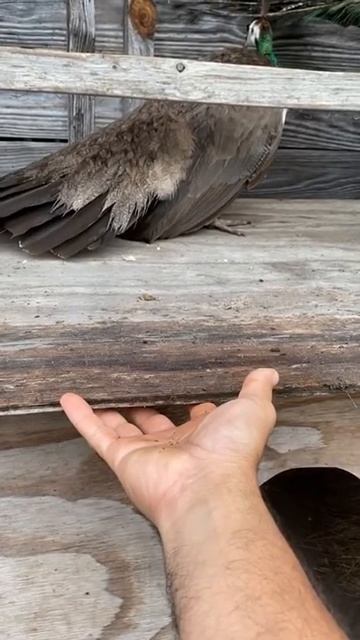 30 November 2021 смотреть онлайн