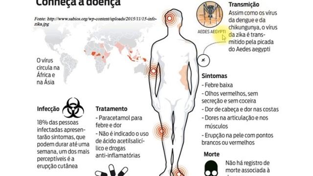 Aula 9 Ordem Diptera, Sub-ordem Nematocera, Sub-ordem Cyclorrhapha (Parte 1) смотреть онлайн