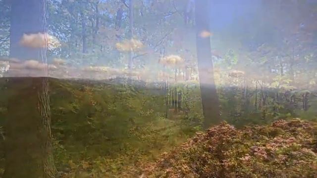 Mula Mantra смотреть онлайн