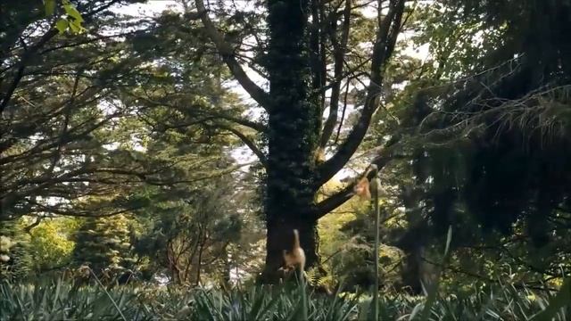 7 способов понять, действительно ли некоторые люди в вашем окружении «родом» из прошлой жизни смотреть онлайн