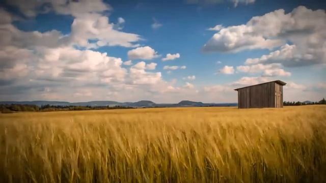 I A story of life I Telugu kadalu смотреть онлайн