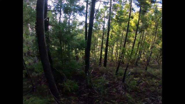 Osíris de Huricferr смотреть онлайн