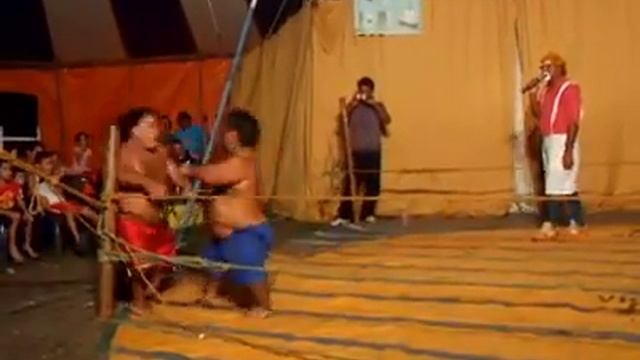 Briga de anoes ufc combate смотреть онлайн