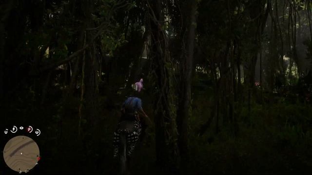 Red Dead Redemption 2 | New Rose and dotted Zebra horse caught смотреть онлайн