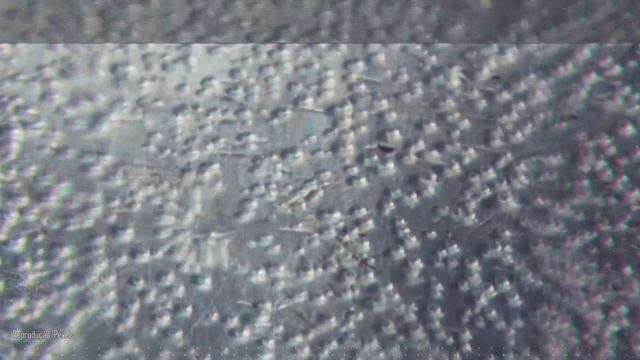 Você sabe como é feita a Coca Cola? смотреть онлайн