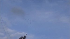 Мой фильм  ЛЕТИТЕ ГОЛУБИ ЛЕТИТЕ