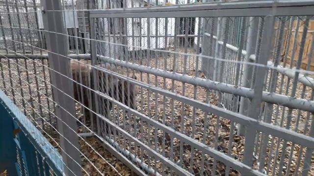 Поездка в станицу Каневскую.