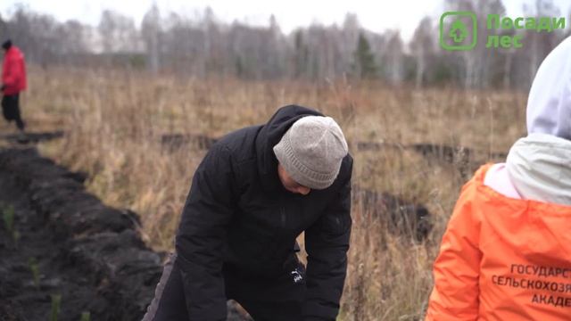 Посадка леса в г. Кемерово 22.10.2022