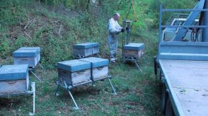 Металлические подставки для ульев? Только такие!