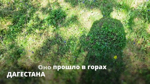 Остров ЗМЕИНЫЙ. Я не знал, что МЕНЯ там ЖДЁТ смотреть онлайн