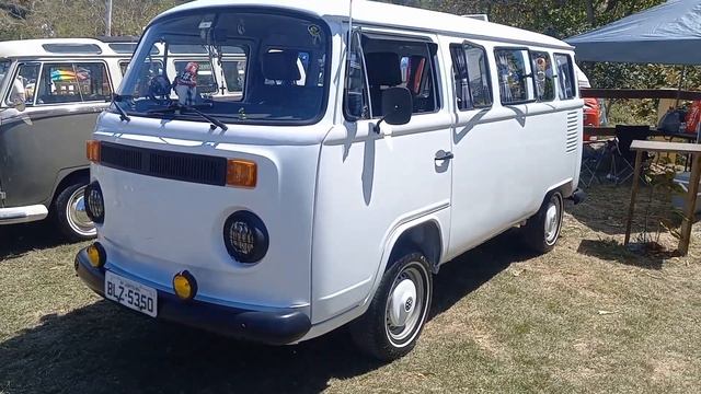 Rincón Volky Fest 2024- Área de exhibición de "las Picuas" VW. parte 5 смотреть онлайн