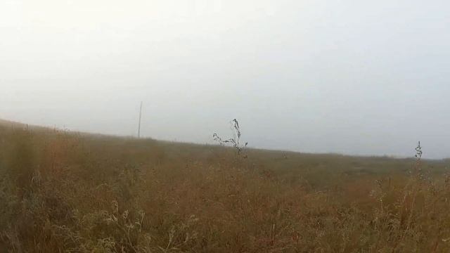 охота на фазана смотреть онлайн