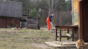 Востанавливаем Старый ДОМ на краю Леса.  Строительство погреба. Сбор кленового сока