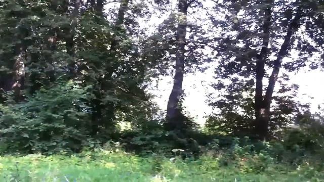 липы 50 соток смотреть онлайн