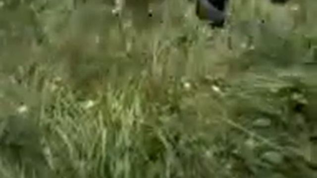 подготовка к армии смотреть онлайн