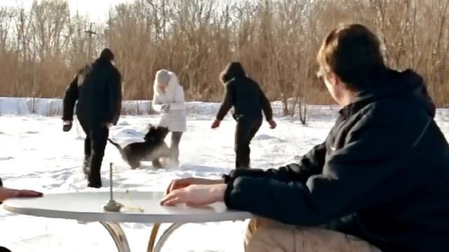 MATRIX. Дом в котором мы живём!