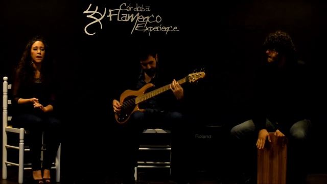 Juanfe Pérez, Posada del Potro, Centro Flamenco Fosforito, Córdoba смотреть онлайн