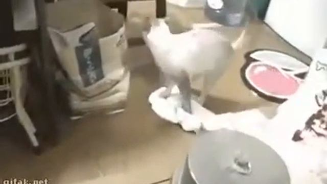 Следы заметает ... смотреть онлайн