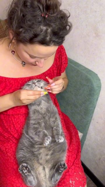 Как жить с ногтями?😌#маникюрмосква #длинныеногти #наращиваниеногтей #красивыйманикюр #котики #ногти смотреть онлайн