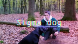 фишер затмение новые серии