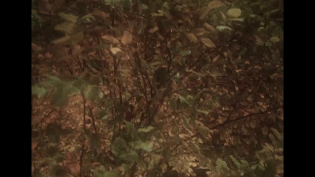 Len Lama - Don't Stop (Official Video) смотреть онлайн