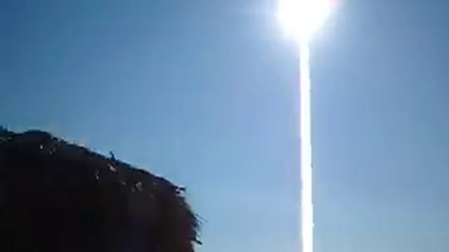 Stingrays @ Pelican Bar, Jamaica смотреть онлайн