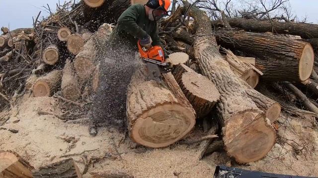 #48 Firewood Cutting - A huge score of ash, cottonwood, aspen and maple from a farm смотреть онлайн
