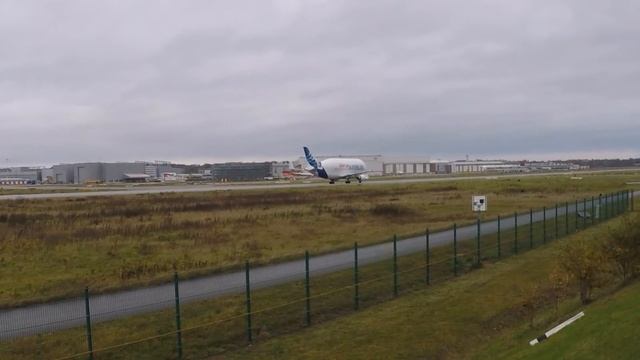 Airbus A300-600ST Beluga Dolphin 3 takeoff at Hamburg Finkenwerder смотреть онлайн