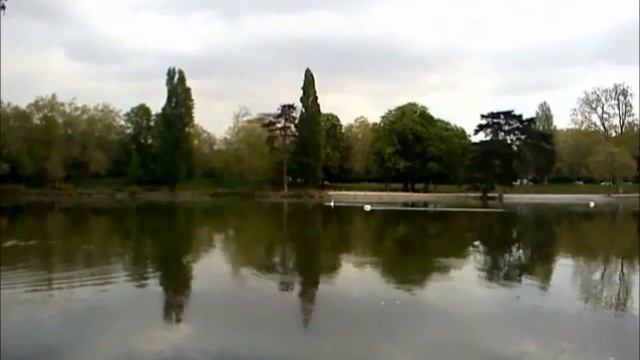 Коди и гуси-лебеди смотреть онлайн
