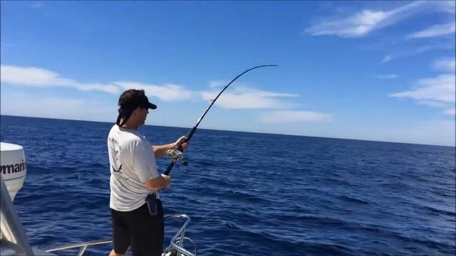 San Diego Marlin Fishing смотреть онлайн