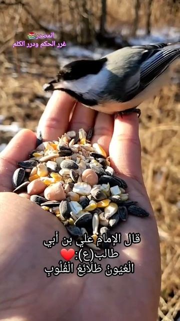 ٢ أغسطس ٢٠٢٢ смотреть онлайн