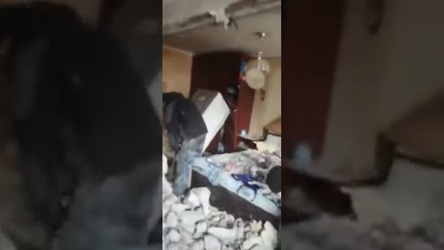 Дед сварил спмагон что стена упала смотреть онлайн
