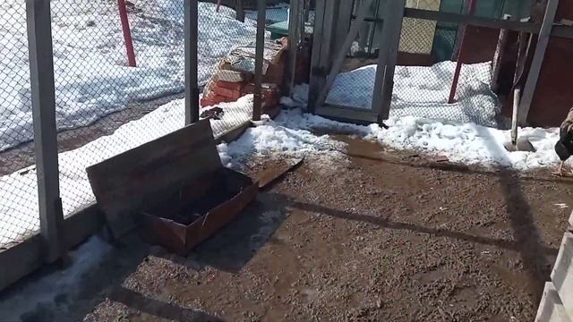 Каникулы, а дел много! смотреть онлайн