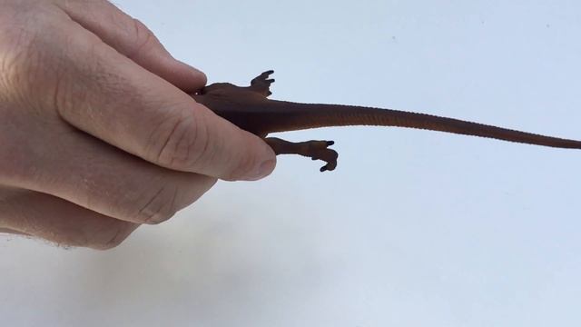 Velociraptor Wild Safari Dinosaur Toy Model | Store for Knowledge | 299929 смотреть онлайн