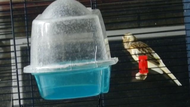 DSCN0566 смотреть онлайн