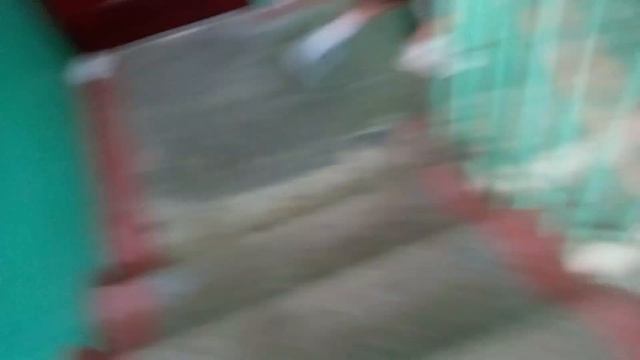 Стучимся с другом, в двери всего подъезда! смотреть онлайн