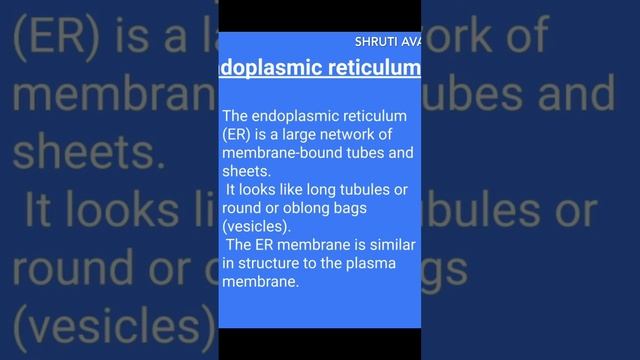 What is endoplasmic reticulum? #biology #science #education #inshort #class9 #viral #viralvideo смотреть онлайн