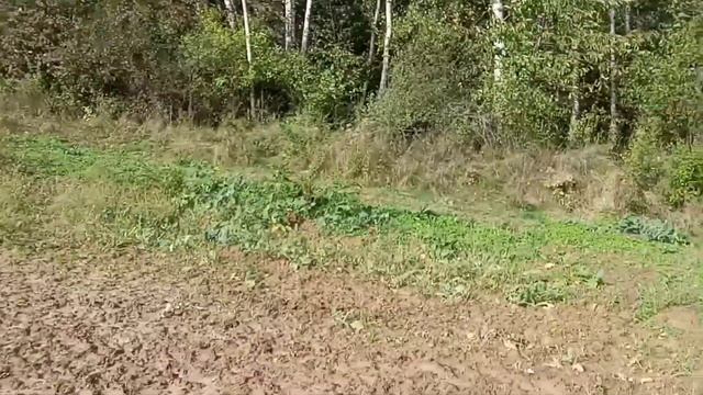 Работа в Польше на мостах смотреть онлайн