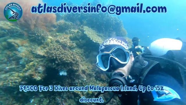 Atlas Divers (MALAPASCUA ISLAND) смотреть онлайн