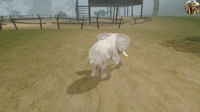 The Animals Kingdoms || Elephant Video Animals Cartoon Lion Wolf Zebra 🦓 Rabbit Fox and Crocodile смотреть онлайн