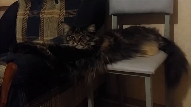 Вот так поза смотреть онлайн