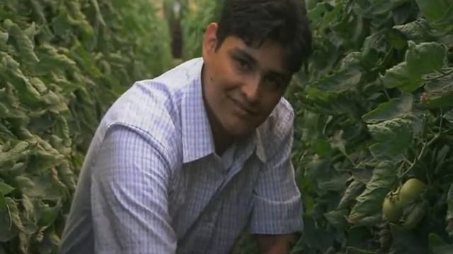 The Bejo Story смотреть онлайн