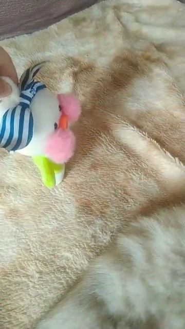 18 июля 2022 г. смотреть онлайн