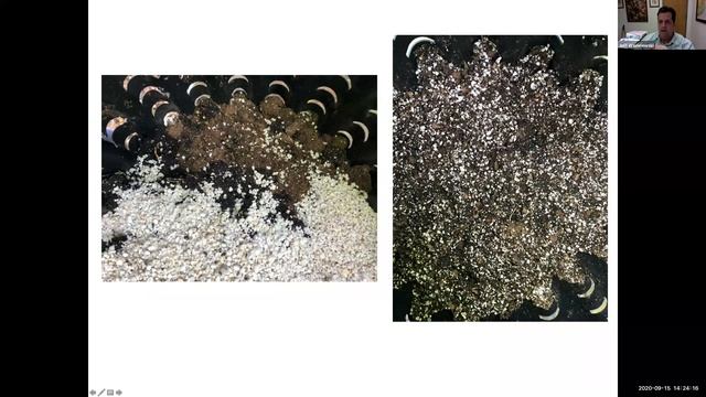 Tropical Fruit Tuesdays: Propagation by Cuttings and Division смотреть онлайн