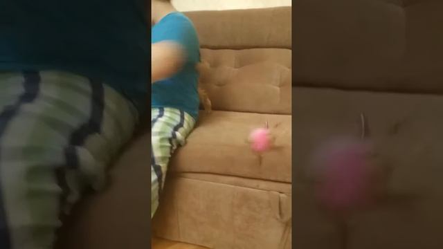 Butus Apogeya BY смотреть онлайн