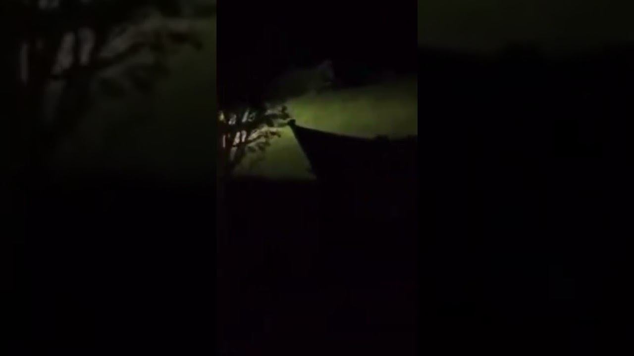 Страшные видео смотреть онлайн