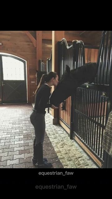 Идеи для фото с лошадью#конныймир#лошади#рек#тренд#equestrian#конники#тикток#horse#тренды#рекоменда смотреть онлайн