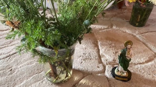 Rico mole en La Calera de San Miguel. Reliquia a San Judas Tadeo смотреть онлайн